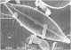 Навикулоидные пеннатные диатомовые (Bacillariophyta) реликтового озера Могильное