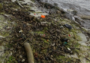 Microplastics in sea coastal zone: Lessons learned from the Baltic amber
