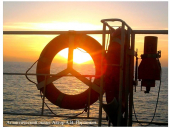 Выставка-конкурс фотографий &laquo;Океан глазами ученых&raquo;, 2021 год