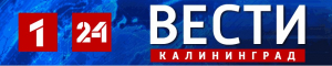 Улицы Калининграда подтопило: горожане винят забитые ливнёвки