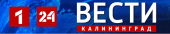 Улицы Калининграда подтопило: горожане винят забитые ливнёвки
