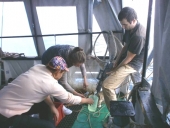 Фото из экспедиции на &laquo;Норд-3&raquo;